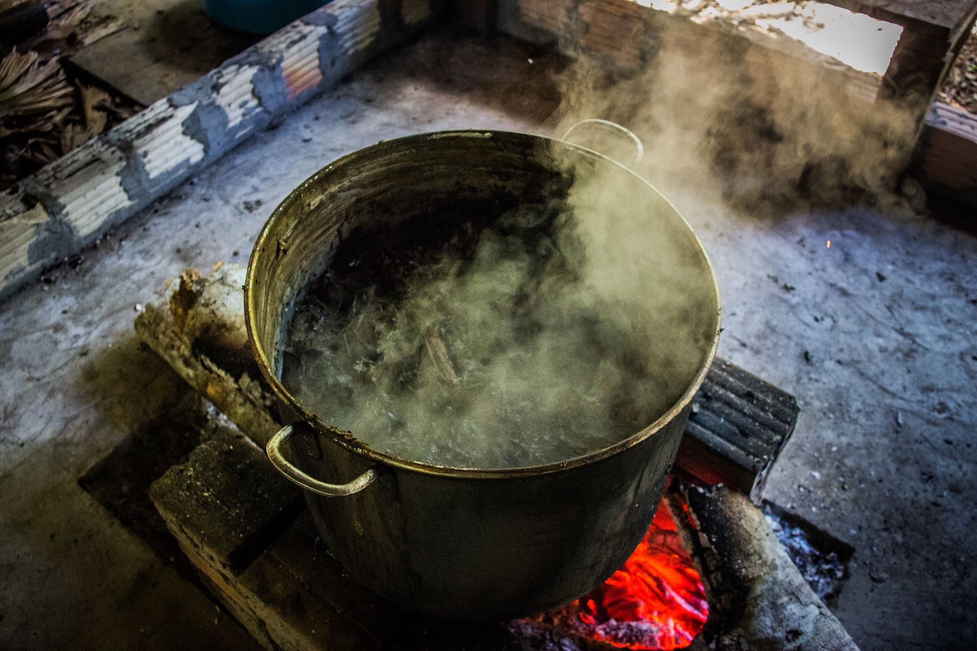 Pot of ayahuasca being brewed.